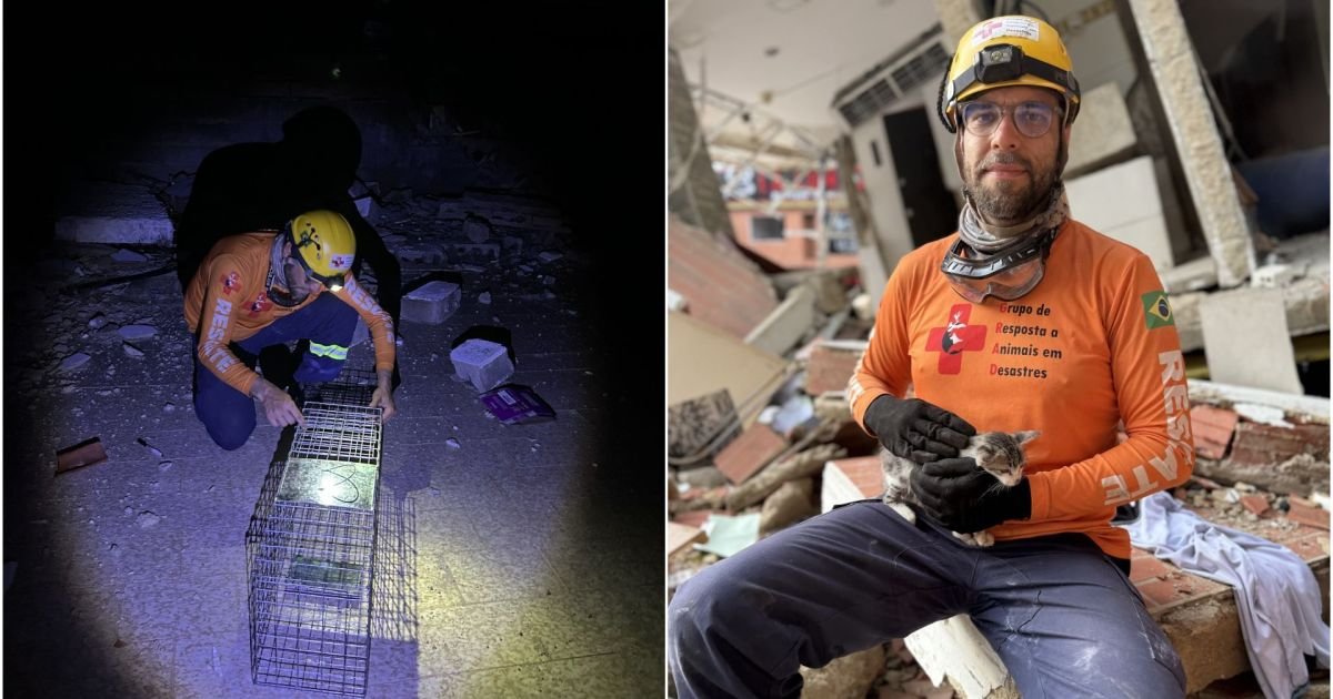Resgates na Venezuela